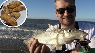 Whiting on Live Bait  CATCH CLEAN and COOK Matt Kelly [upl. by Asseral291]