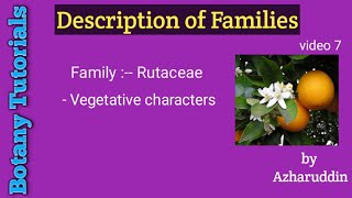 Rutaceae vegetative characters [upl. by Gombach]