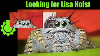 Looking for Lisa Holst Re 10 Misconceptions Rundown [upl. by Torres334]