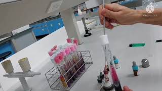 How to Perform the Catalase Test  Staphylococcus vs Streptococcus [upl. by Rialc]