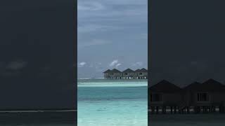 Maldives 🇲🇻 outfit travel travelvideo photoshoot maldives2024 beach maldivesisland [upl. by Asil]