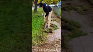 Satisfying Lawn Edge Cleanup [upl. by Gherlein888]