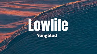 Lowlife  Yungblud Lyrics [upl. by Eiahpets]