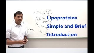 Lipoproteins  A Simple and Brief Introduction [upl. by Aliab370]