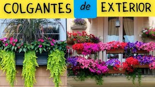 12 Increíbles Plantas Colgantes de EXTERIOR [upl. by Earazed]