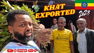 The Shocking Truth About Khat Exporting Banned Worldwide [upl. by Aerdno666]