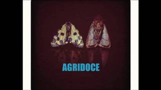 Agridoce  Epílogos [upl. by Etnod]