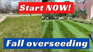 Lawn Overseeding In Fall How YOU Can Transform Your Lawn [upl. by Ayikan]