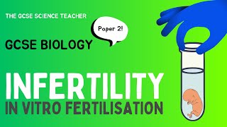 GCSE Biology In vitro Fertilisation IVF  AQA OCR Edexcel [upl. by Halivah]