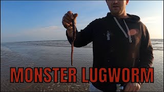 How to Pump BIG lugworm [upl. by Denby201]