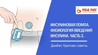 Инсулиновая помпа Физиология введения инсулина Часть 2 [upl. by Salohcin]