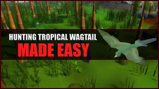 Quick Guide to Hunting Tropical Wagtail in OSRS  Hunter Guide  Hunters Rumours [upl. by Ailicec685]