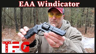 EAA Windicator quotBudgetquot 38 SPL Revolver  TheFirearmGuy [upl. by Ahtiuqal667]