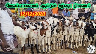 12122023 மேலப்பாளையம் ஆட்டு சந்தை நிலவரம்  பெரிய குட்டிகள் அதீத வரவு 🔥🔥🔥 [upl. by Cut]