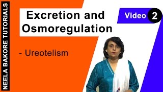 Excretion and Osmoregulation  NEET  Ureotelism  Neela Bakore Tutorials [upl. by Cotter]