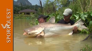 World Record Multispecies Fishery Gillhams Resort Thailand 🎣 [upl. by Akived]