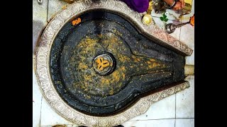 Trimbakeshwar Live Darshan livestream trimbakeshwar [upl. by Roselane]