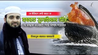 হযরত সুলাইমান আঃ সারা বিশ্বের প্রাণী ও মানুষকে খাওয়াতে গিয়ে যে বিপদে পড়লেন। Mizanur rahman azhari [upl. by Daphene909]