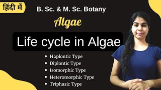 TYPES OF LIFECYCLE IN ALGAE  in Hindi  Botany  B Sc amp M Sc [upl. by Aynam197]