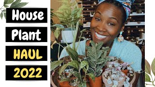 Houseplant Haul 2022 [upl. by Klingel]