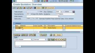 SAP Tutorial for beginners  SAP ERP [upl. by Asiar]