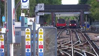 Jubilee Line trains at Stanmore [upl. by Suirauqed]