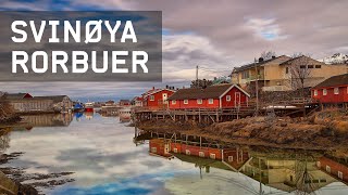 Svinøya Rorbuer  Your base for great adventures in Lofoten [upl. by Relyk]