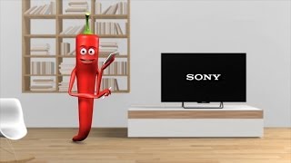 Sony  Videoanleitung Sendersuchlauf [upl. by Adnaloy]