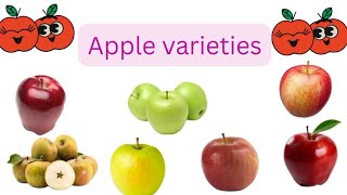 Apple varieties Apple varieties name in English pictures children for kids [upl. by Kataway]