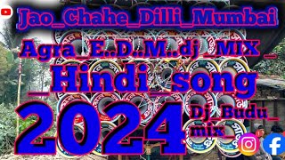 JaoChaheDilliMumbaiAgraEDMMixDjBudumixHindisong [upl. by Mahala458]