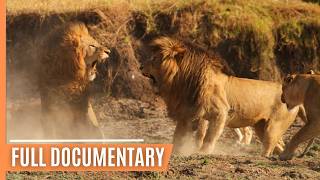 Hunting and being hunted in Kenyas Masai Mara  Full Documentary [upl. by Llednol]