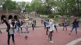 Carl and Drews Flash Mob Marriage Proposal in Central Park [upl. by Ranzini]