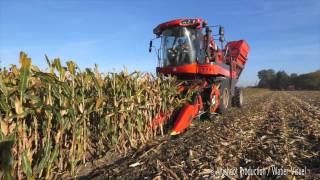 Récolte de Maïs semence avec un Corn Picker Bourgoin B410 [upl. by Kwok724]