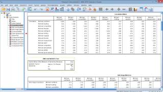 Principal Component Analysis on SPSS [upl. by Anegal]