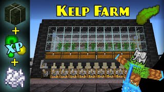 0 Tick KELP FARM Bonemeal XP  Minecraft Bedrock Farm Tutorial  MCPE XBOX PS SWITCH [upl. by Erbes]