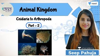 Animal Kingdom  L2  NEET 202223 Biology  Seep Pahuja [upl. by Cos]