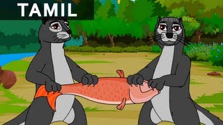 Fox And The Otters  ஓநாயும் நீர்க்கீரிகளும்  Jataka Tales In Tamil  MagicBox Tamil Stories [upl. by Digdirb414]