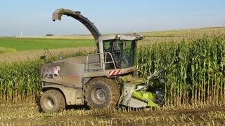 Frauen Claas und Deutzpower bei der Maisernte [upl. by Ydisac]