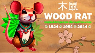 WOOD RAT PERSONALITY  木鼠  Chinese Astrology  Love Facts Strength Weaknesses of Rat Sign [upl. by Nuahsyt]