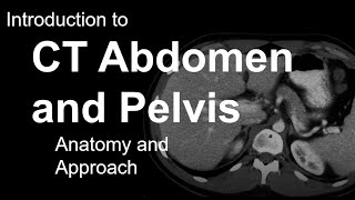 Introduction to CT Abdomen and Pelvis Anatomy and Approach [upl. by Gomer333]