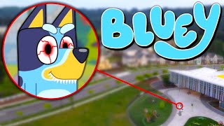 Drone Catches BLUEY HEELER From BLUEY IN REAL LIFE BINGO BANDIT amp CHILLI [upl. by Malka]