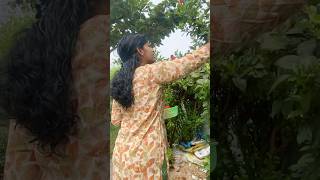 30 Oct 2024 முறுக்கு ready vanga sapdalam  Advance happy Diwali wishes home diml minivlog [upl. by Znieh]