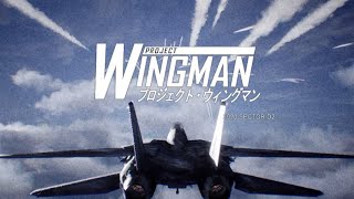 Project Wingman Anime Intro Easter Egg [upl. by Gorga]