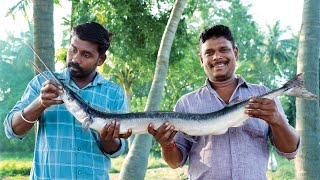 Mural Fish Cooking  GARFISH Cooking in Village  Sea Food Recipes [upl. by Michaella]