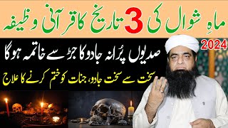 3 Shawal Ka Wazifa  Jadu Jinnat Ka Khatama Hoga  Jadu Jinnat Ka Ilaj Quran Se [upl. by Allix]