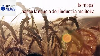 Italmopa nasce la scuola dellindustria molitoria [upl. by Novyaj]