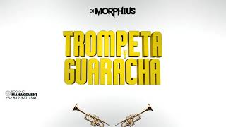 TROMPETA Y GUARACHA 🎺Aleteo Mix💥 Guaracha Zapateo Tribal Circuit Dj Morphius vs Muzik Junkies [upl. by Airlia304]