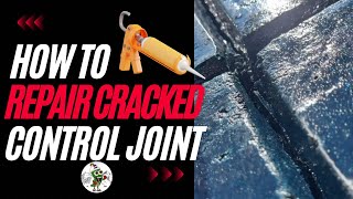 Mr Jalapeño’s  How To Repair Cracked Concrete Joints [upl. by Crisey974]