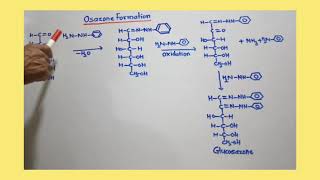 Osazone of DGlucose and DFructose [upl. by Hite]