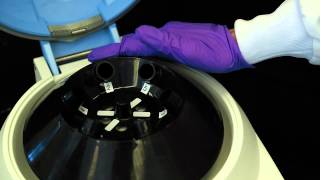 How to Use a Centrifuge [upl. by Nishom]